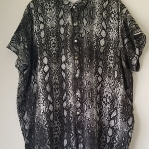 ❌Sold❌Acacia python mombasa